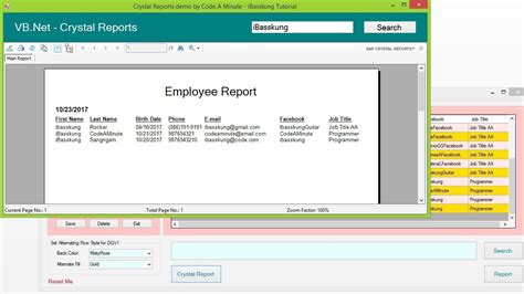 rpt viewer|crystal report viewer for visual studio 2019.